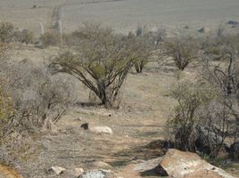  Terreno (Parcela) en venta en Melipilla, Santiago, Curacavi, Melipilla