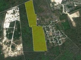  Grundstück zu verkaufen in Tixpehual, Yucatan, Tixpehual, Yucatan