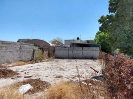  Grundstück zu vermieten in Torreon, Coahuila, Torreon