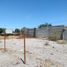  Grundstück zu vermieten in Torreon, Coahuila, Torreon