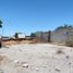 Grundstück zu vermieten in Torreon, Coahuila, Torreon