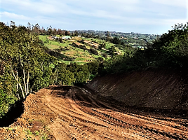  Terreno (Parcela) en venta en Chile, Viña del Mar, Valparaíso, Valparaíso, Chile