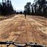  Terreno (Parcela) en venta en Chile, Viña del Mar, Valparaíso, Valparaíso, Chile