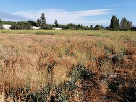  Terreno (Parcela) en venta en Maipo, Santiago, Buin, Maipo