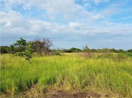  Terreno (Parcela) en venta en Punta Chame, Chame, Punta Chame