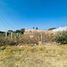  Terreno (Parcela) en venta en Salamanca, Guanajuato, Salamanca