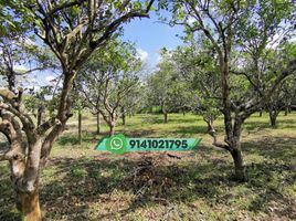  Land for sale in Cunduacan, Tabasco, Cunduacan
