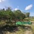  Land for sale in Cunduacan, Tabasco, Cunduacan