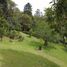 Terrain à vendre à Rionegro, Antioquia, Rionegro