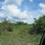  Land for sale in Hunucma, Yucatan, Hunucma, Yucatan, Mexico