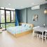 1 Bedroom Condo for rent in My An, Da Nang, My An, Ngu Hanh Son, Da Nang