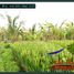  Land for sale in Selemadeg, Tabanan, Selemadeg