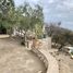  Terreno (Parcela) en venta en Melipilla, Santiago, Curacavi, Melipilla