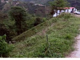  Land for sale in Caldas, Manizales, Caldas