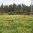  Land for sale in Yaruqui, Quito, Yaruqui