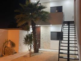 Appartement 1 chambre à louer à Merida, Yucatan, Merida, Yucatan