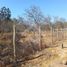  Terreno (Parcela) en venta en Cordillera, Santiago, Pirque, Cordillera