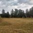  Land for sale in Brandsen, Buenos Aires, Brandsen