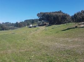  Terreno (Parcela) en venta en Valparaíso, Santa Maria, San Felipe de Aconcagua, Valparaíso