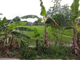  Terreno (Parcela) en venta en Seyegan, Yogyakarta, Seyegan
