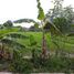  Terreno (Parcela) en venta en Seyegan, Yogyakarta, Seyegan