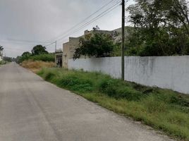  Terreno (Parcela) en venta en Izamal, Yucatán, Izamal