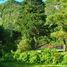 7 Bedroom House for sale in Cautin Araucania, Cunco, Cautin