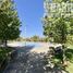  Land for sale in Chile, Santiago, Santiago, Santiago, Chile