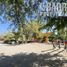  Land for sale in Chile, Santiago, Santiago, Santiago, Chile
