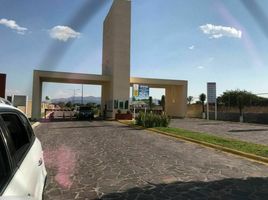  Grundstück zu verkaufen in Allende, Guanajuato, Allende