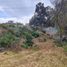  Terreno (Parcela) en venta en Tlalpan, Ciudad de México, Tlalpan