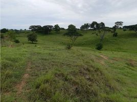  Villa en venta en Monteria, Córdoba, Monteria