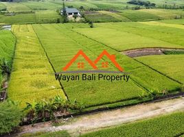  Land for sale in Kerambitan, Tabanan, Kerambitan