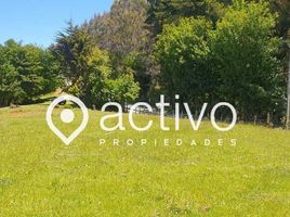  Land for sale in Chile, Paillaco, Valdivia, Los Rios, Chile