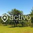  Land for sale in Chile, Paillaco, Valdivia, Los Rios, Chile