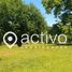  Land for sale in Chile, Paillaco, Valdivia, Los Rios, Chile