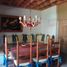 7 Schlafzimmer Haus zu vermieten in Tepoztlan, Morelos, Tepoztlan