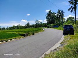  Tanah for sale in Yogyakarta, Pakem, Sleman, Yogyakarta