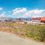  Land for rent in San Agustin Tlaxiaca, Hidalgo, San Agustin Tlaxiaca, Hidalgo