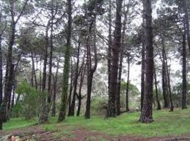 Terrain à vendre à Villa Gesell, Buenos Aires, Villa Gesell