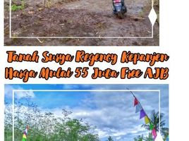  Land for sale in Malang Regency, East Jawa, Kepanjen, Malang Regency