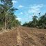  Land for sale in Tzucacab, Yucatan, Tzucacab