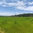  Land for sale in Tzucacab, Yucatan, Tzucacab
