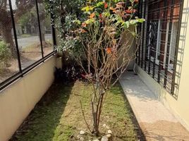 2 Schlafzimmer Haus zu verkaufen in Moron, Buenos Aires, Moron