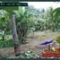  Land for sale in Selemadeg, Tabanan, Selemadeg