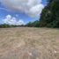  Land for sale in Panama, Bella Vista, Panama City, Panama
