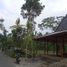 4 Bedroom House for sale in Seyegan, Sleman, Seyegan