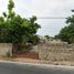  Land for rent in Merida, Yucatan, Merida, Yucatan