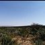  Land for sale in Sombrerete, Zacatecas, Sombrerete