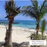  Terreno (Parcela) en venta en Cozumel, Quintana Roo, Cozumel